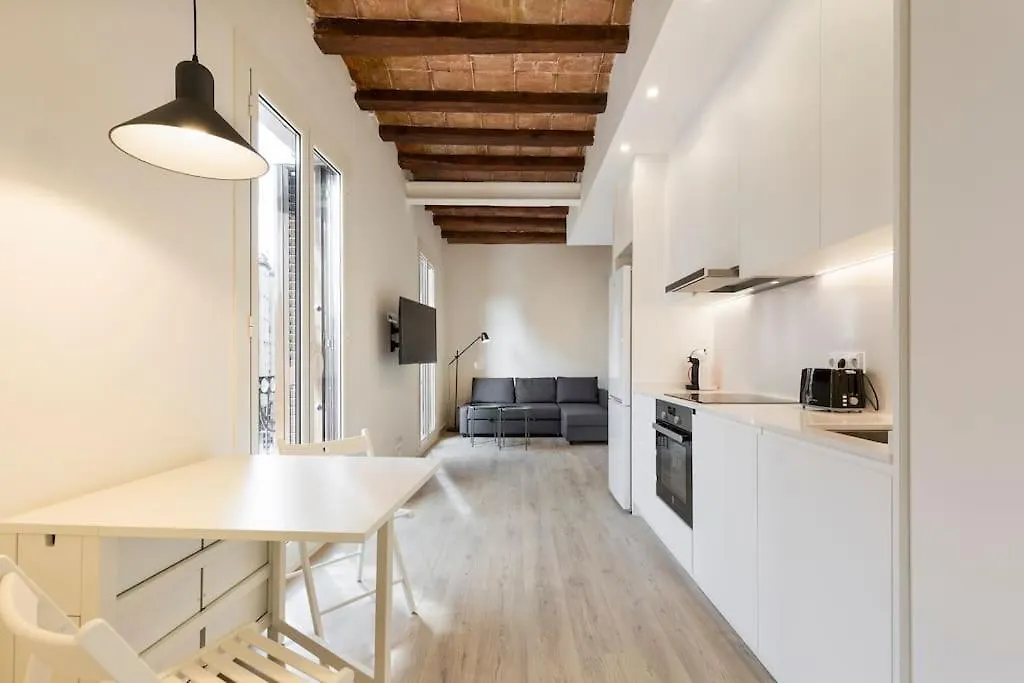 Modern And Bright Apartment Well Located In Gracia Barcelona Espanha